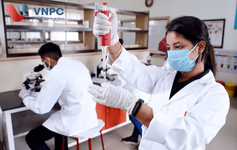 KING88 là nhà cái giải trí đỉnh cao Hàn Quốc ngành dược
